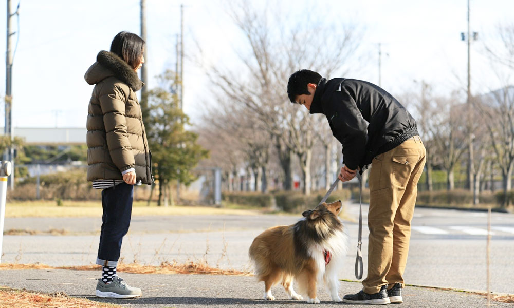 出張しつけ教室【新潟市内限定 2回】