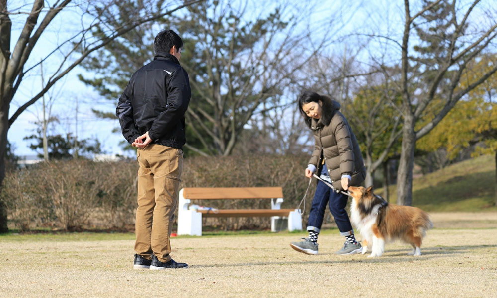 出張しつけ教室【新潟市内限定 2回】