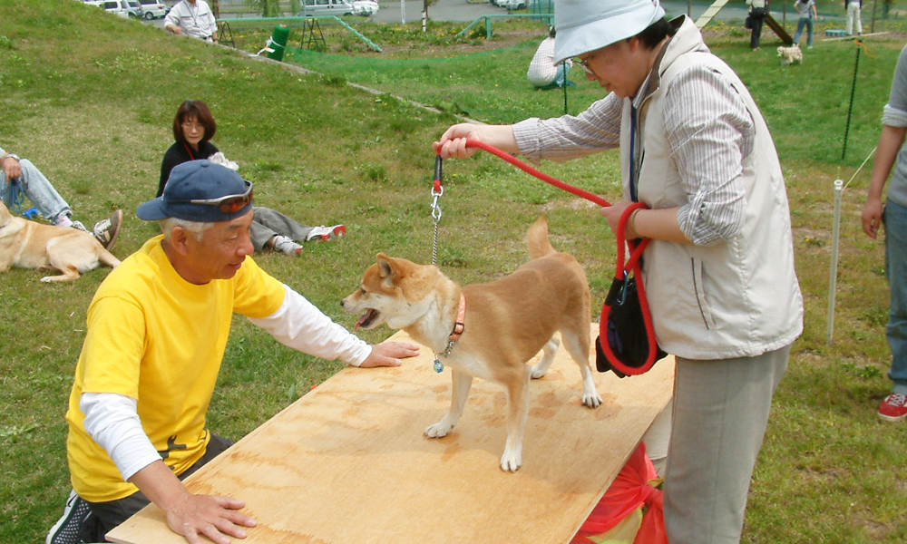 犬のしつけ災害講習