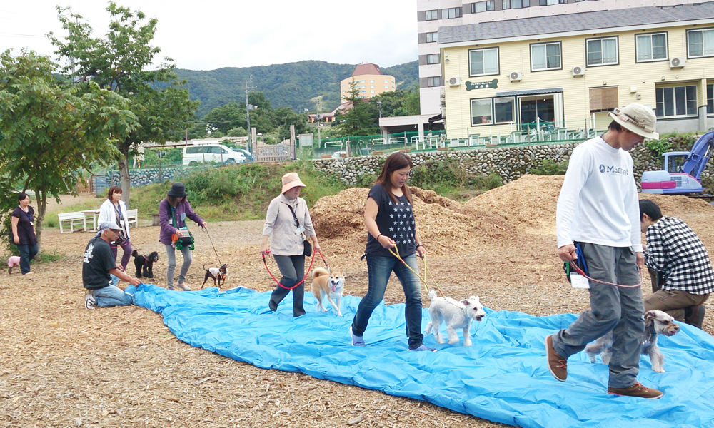 ペット好きなあの人へは犬のしつけ体験