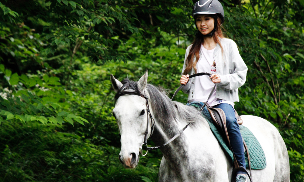 初心者 山道散歩乗馬