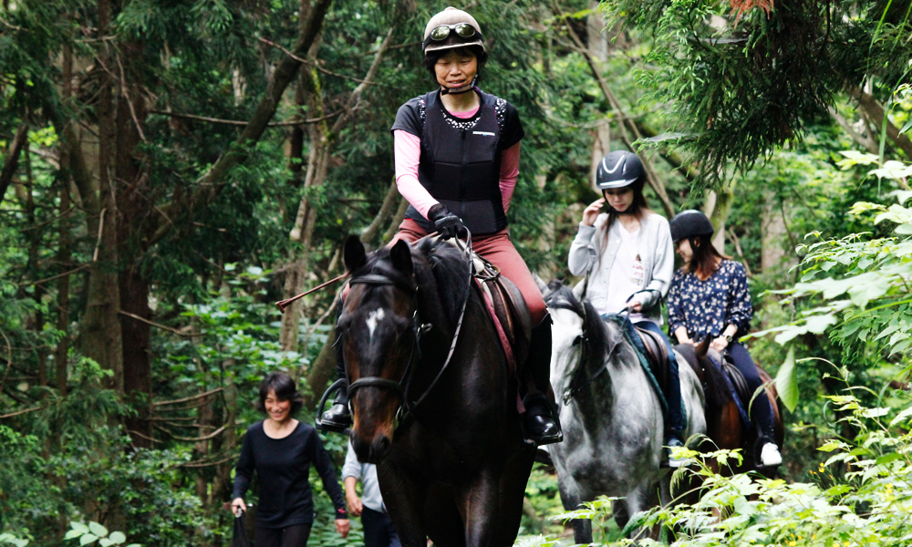 初心者 山道散歩乗馬