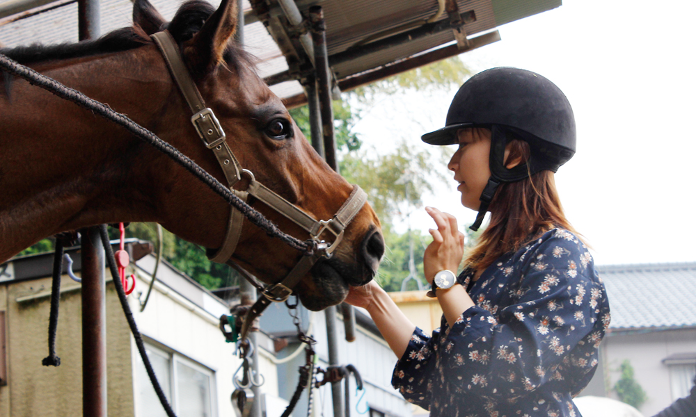 初心者 山道散歩乗馬