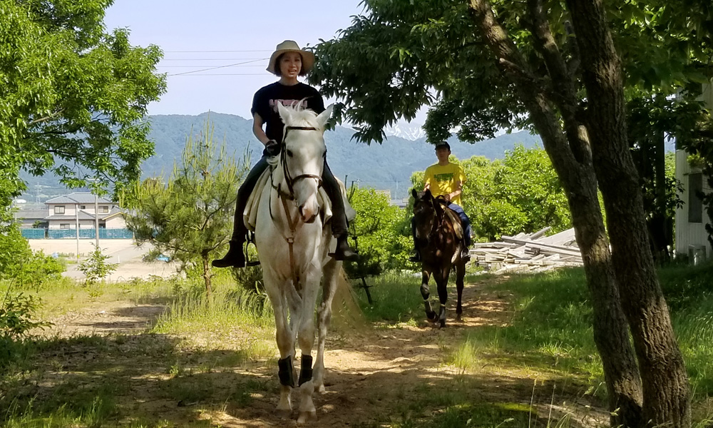 乗馬・外周乗馬