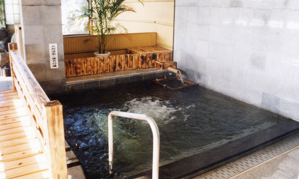 【日帰り】薬石風呂と5種の天然温泉【4人×2回】
