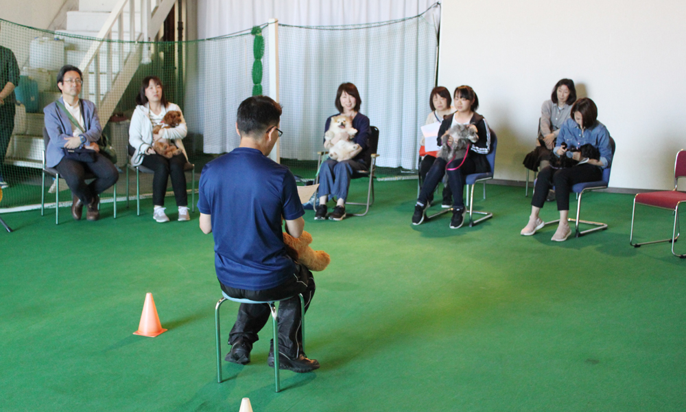 犬のしつけ体験 初級お試し体験【3回】