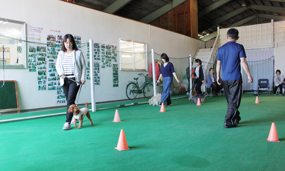 犬のしつけ体験 初級お試し体験【3回】