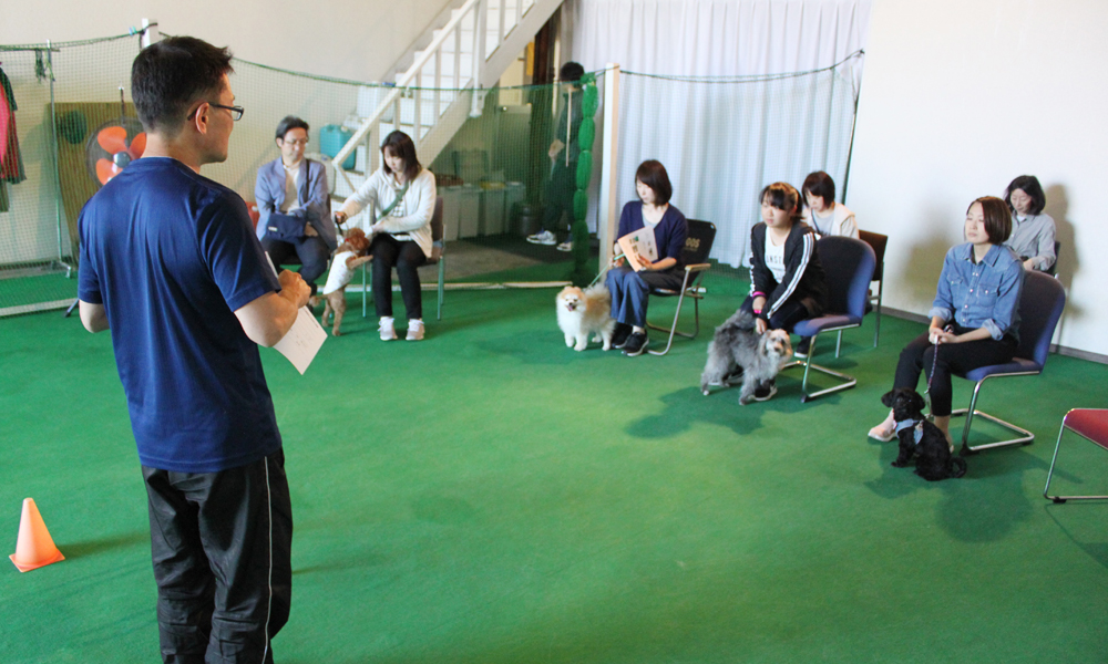 犬のしつけ体験 初級お試し体験【3回】
