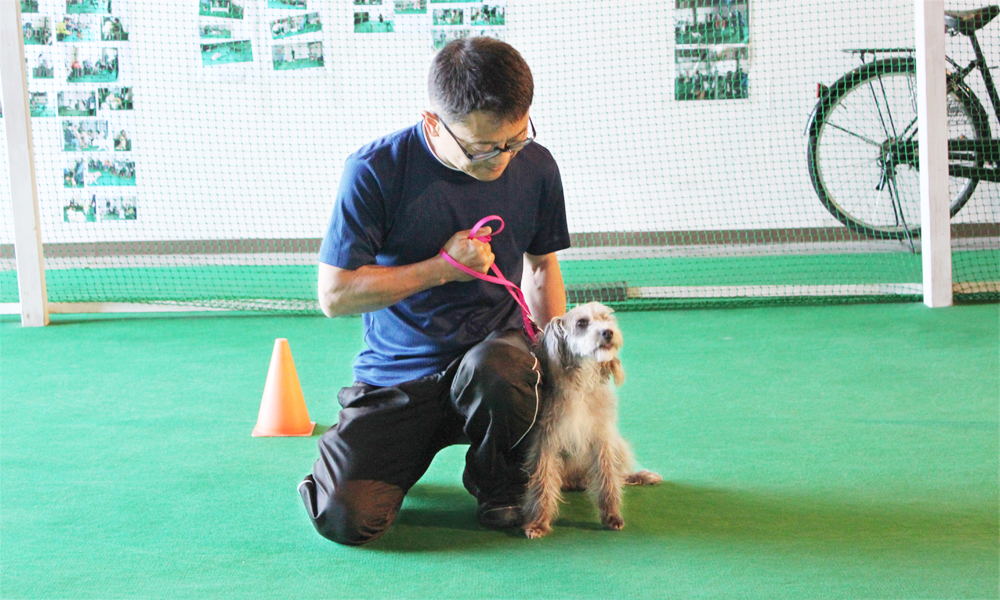 犬のしつけ体験 初級お試し体験【3回】