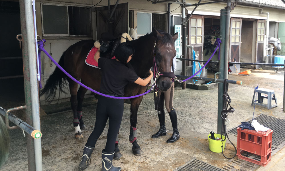 初心者におすすめ ひき馬乗馬