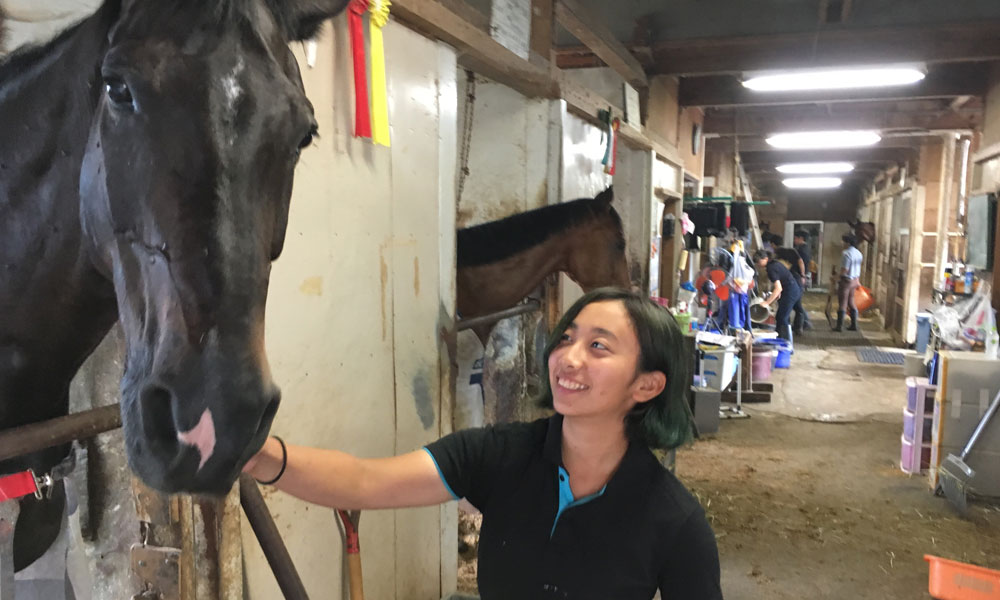 初心者におすすめ ひき馬乗馬