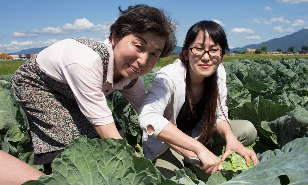 旬な野菜の収穫【野菜持ち帰りパック1箱(小)】