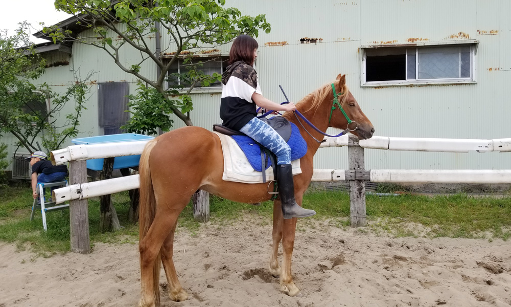 はじめての乗馬